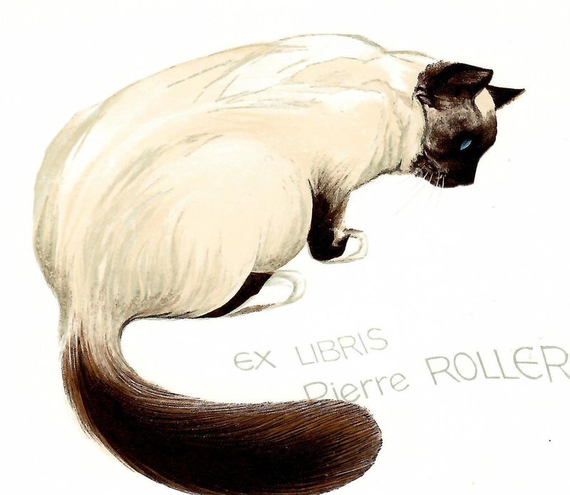 Flora a Fauna