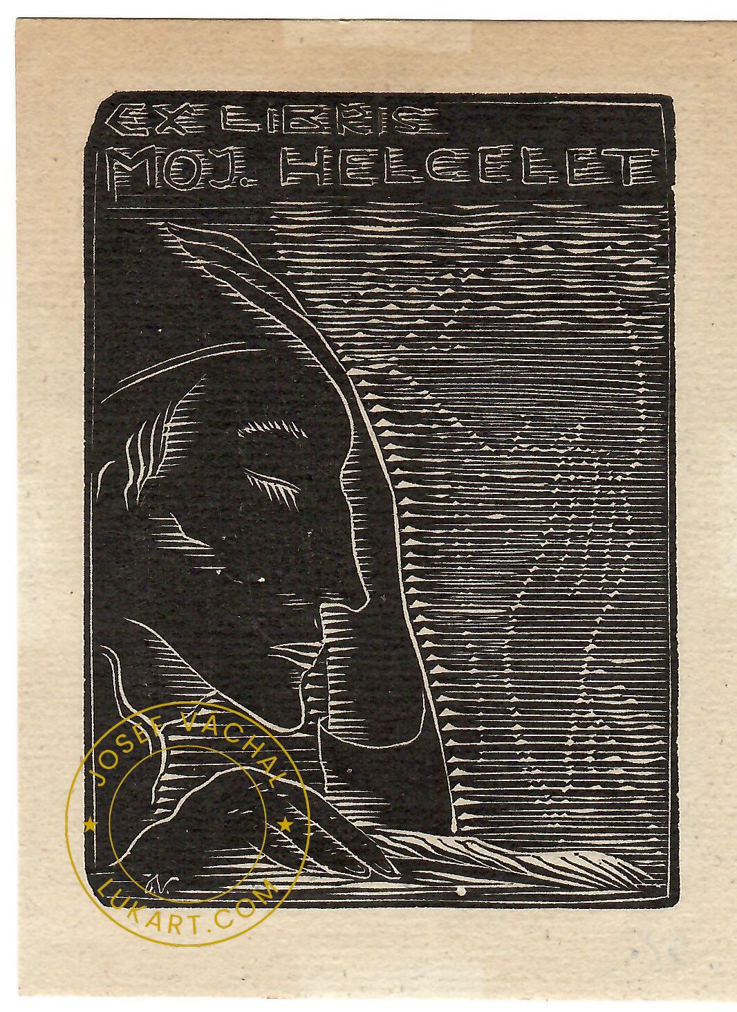 Josef Váchal - Helcelet Moj. – Snící čtenář