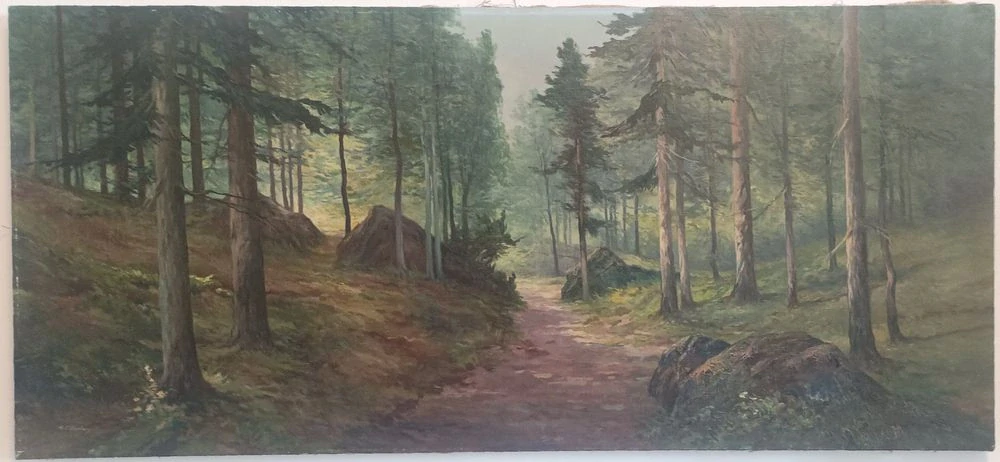 Skula Matěj František - Lesní záře