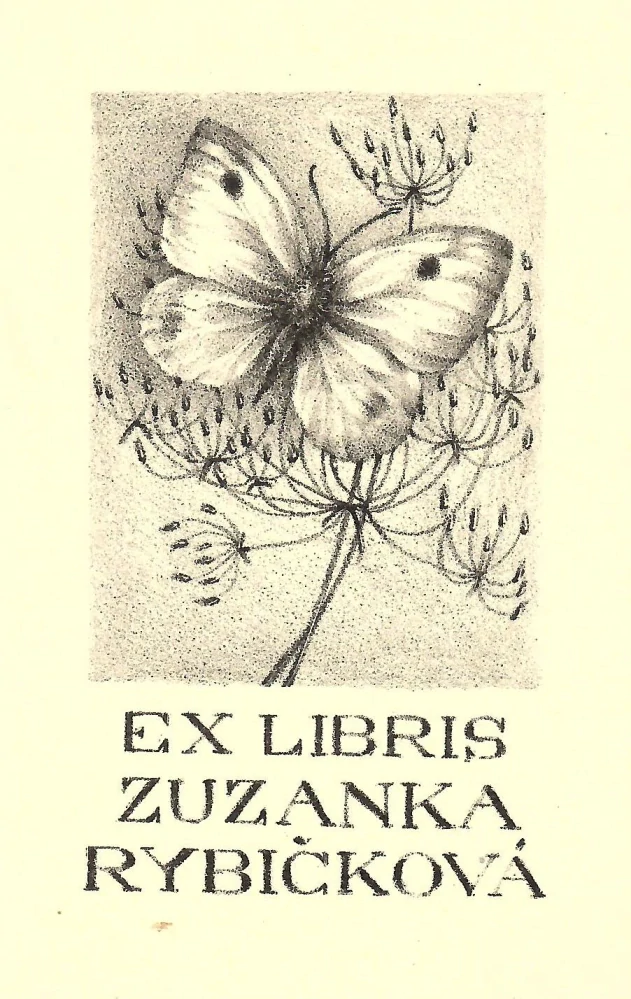 Jiřincová Ludmila – Motýl na kmínu, litografie,1952