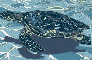 Martin Manojlín – Mořská želva – barevný linoryt, 2024