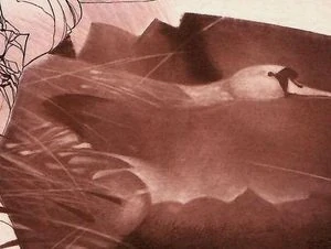 Jiří Brázda – Leda | originální grafika, kombinovaná technika