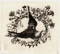 Anna Grmelová - Ptáčci | lept, volný list