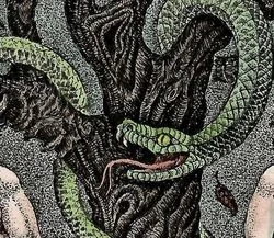 Irina Kozub – Adam a Eva | originální lept | číslovaný tisk