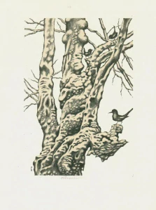 Vojtěch Cinybulk - Strom