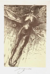 Jan kavan - Ikaros | litografie