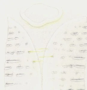 Alena Laufrová – Něco na nebi, něco na zemi – grafický soubor, Edice DUO (2004)