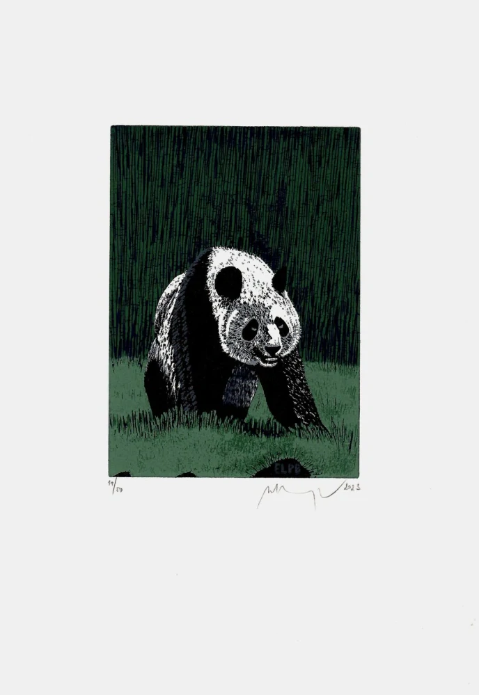 Martin Manojlín – Panda – barevný linoryt, 2023
