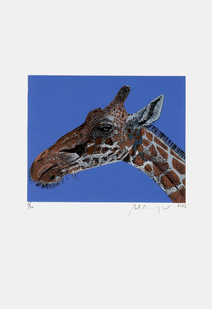 Martin Manojlín – Žirafa – barevný linoryt, 2023