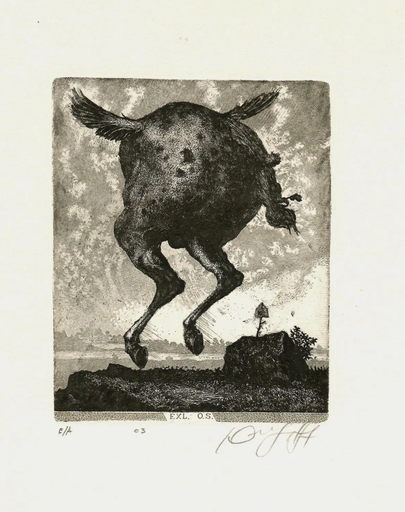 Jurij Jakovenko – Letící krůta | originální grafika, lept, číslovaný tisk