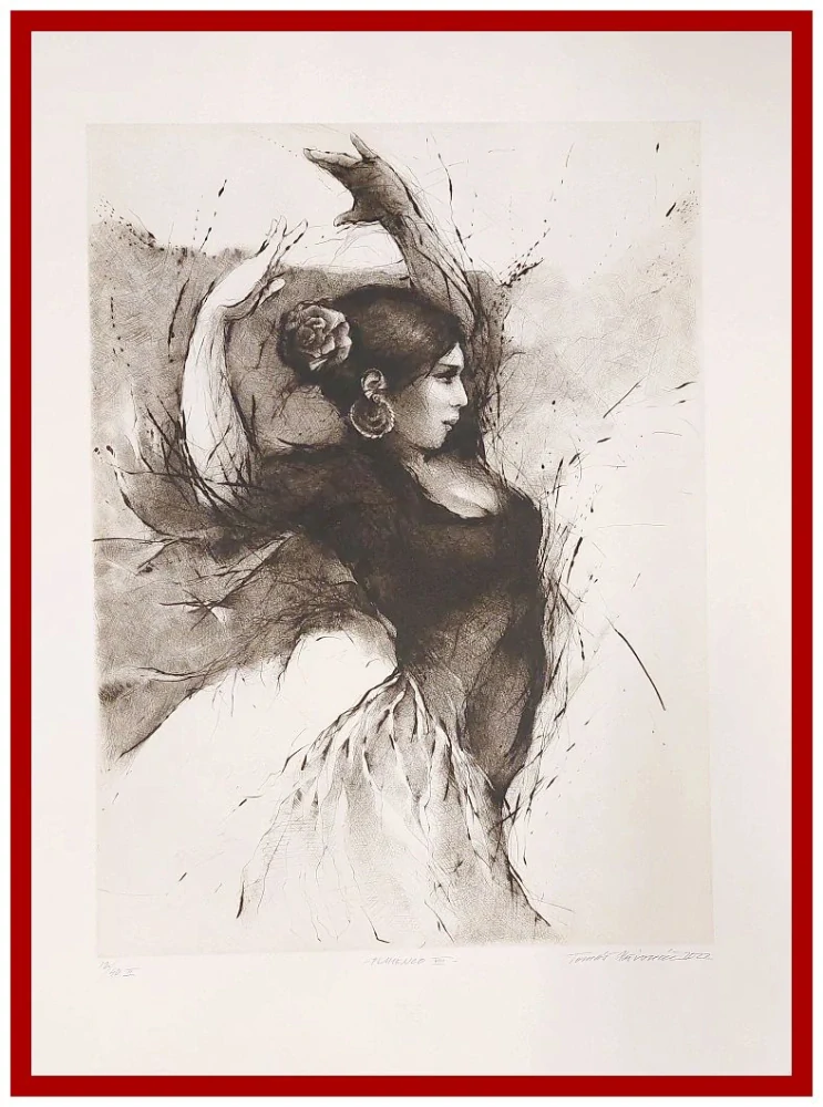 Tomáš Hřivnáč - Flamenco (Velkoformátová suchá jehla)