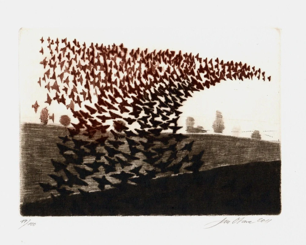 Jan Otava – Ptáci | grafický soubor, Edice DUO (2011) 