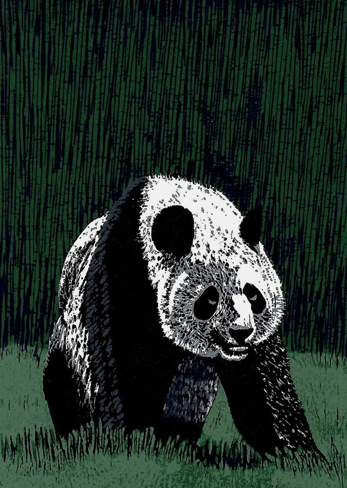 Martin Manojlín – Panda – barevný linoryt, 2023