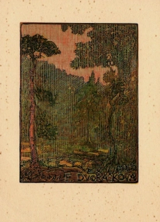 Josef Váchal | Borový les | exlibris | dřevoryt