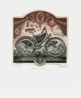 Milan Bauer - Bicykl