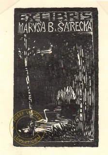 Josef Váchal-Šárecká Maryša B. Lesní tůně s labutí