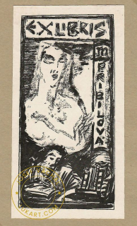 Josef Váchal - Přibilová M.– Čtenářka