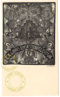 Josef Váchal - Steinfeldova Emča – Matka se synem nad knihou