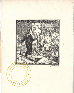Josef Váchal - Procházka Karel Dr. – Lyžař