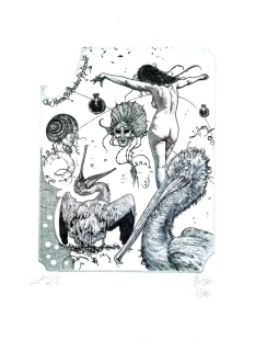 Günter Hujber – Dívka s pelikány | originální grafika (suchá jehla)