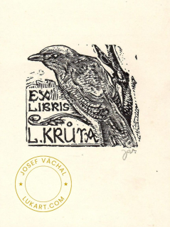 Josef Váchal  - Krůta L. – Ptáček na větvi