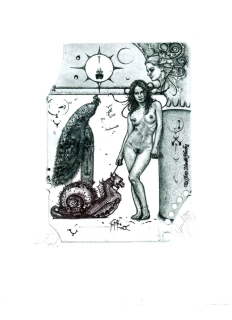 Günter Hujber – Dívka s hlemýžděm a pávem | originální grafika (suchá jehla)