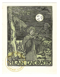 Josef Váchal - Dvořáček Milan – Houslista  