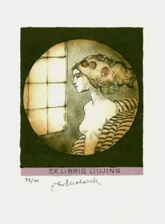 Vladimír Suchánek – Snění