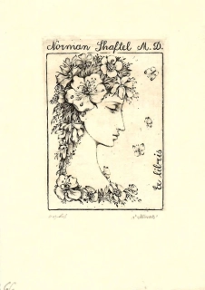 Ludmila Jiřincová – Hlava s květinami, lept, 1966