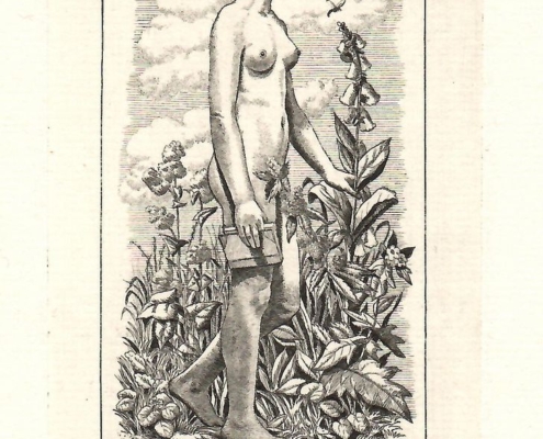 Grafický list exlibris Josef Cipra, autor Stanislav Kulhánek, motiv dívky s knihou v přírodě